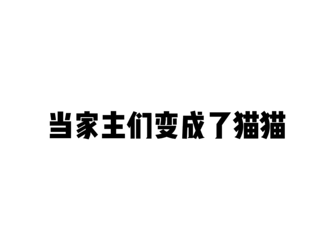 洛喵喵小说合集免