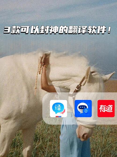 大师教成语提现版