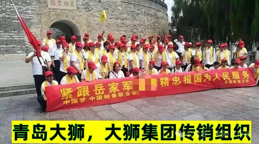 大狮集团国人商城图标