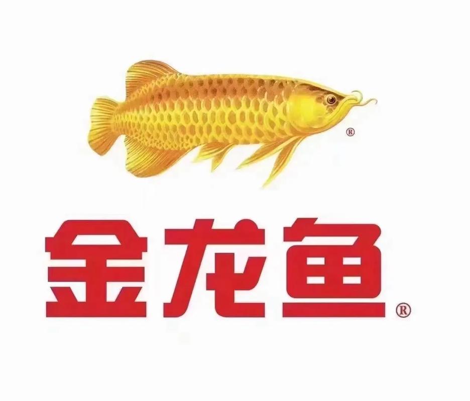 龙鱼宝宝赚钱