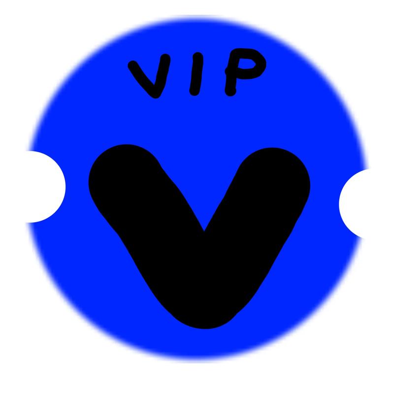 浏览器vip永久截图
