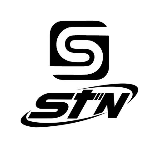 STN实体链