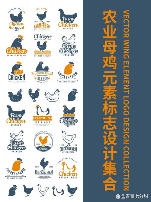 鸡之家赚钱养鸡蛋