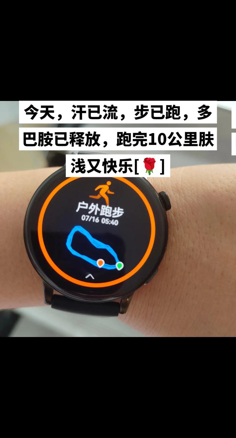 开心步数手机版