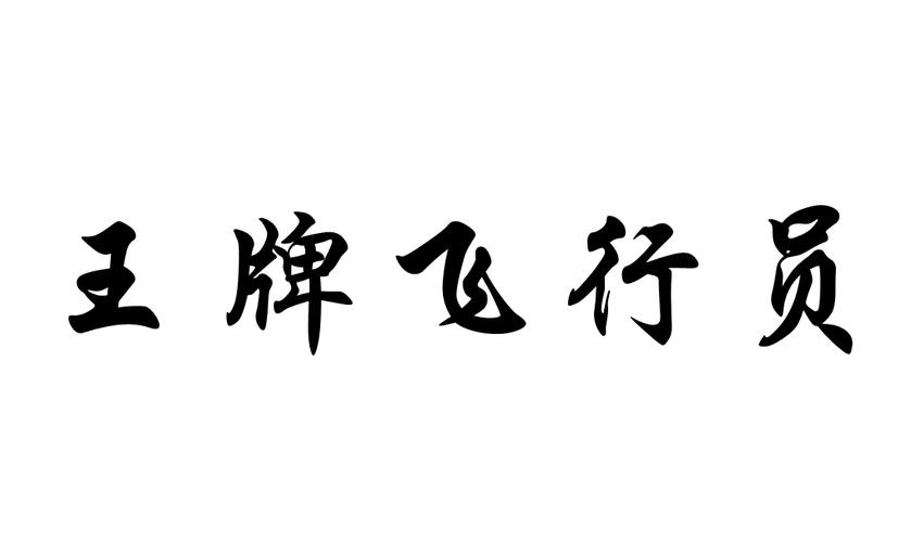 王牌飞行员破解版图标