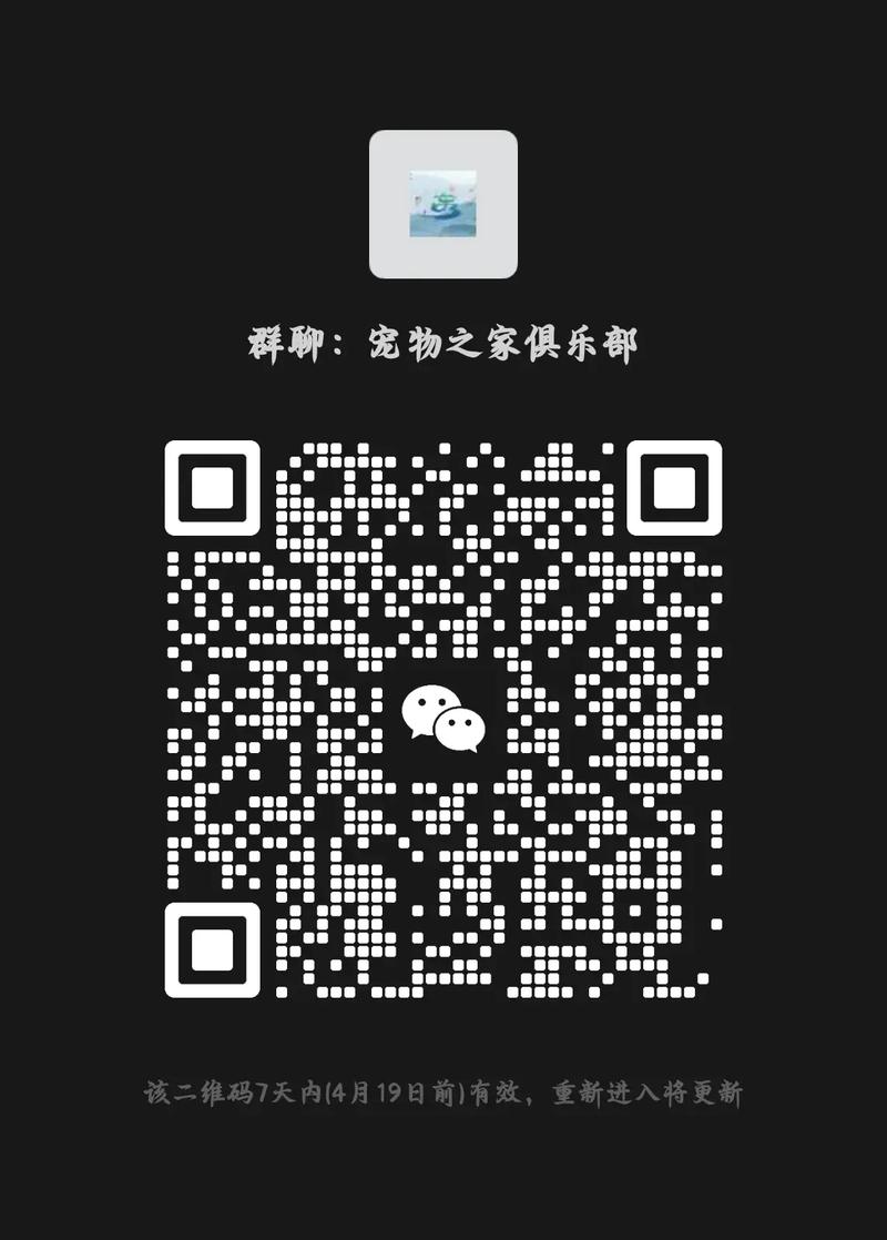 飞狗接码验证平台