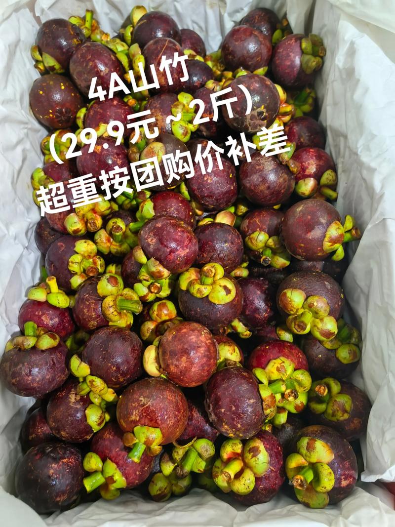 山竹资讯官网版