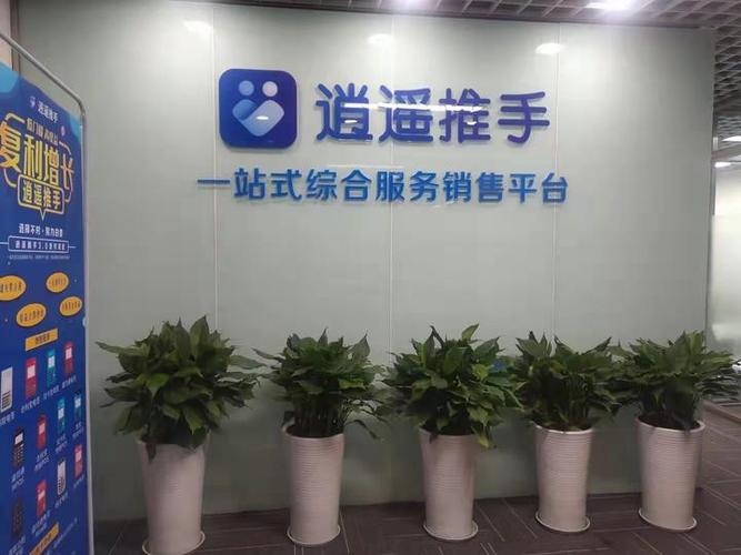 逍遥推手项目推广缩略图