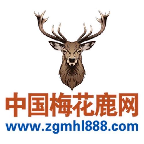 鹿网