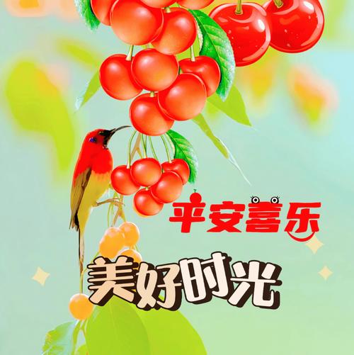阳光赚苹果版