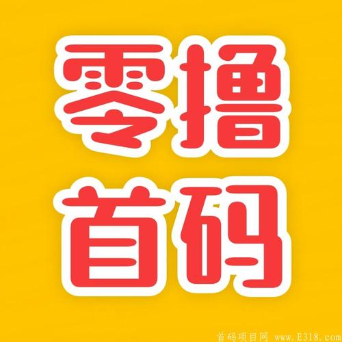 零撸项目