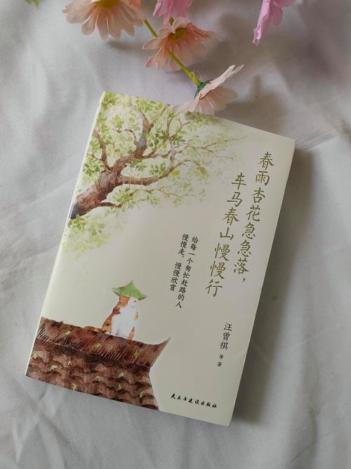 杏花免费小说永久图标