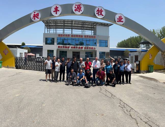 宁丰牧业养牛赚钱缩略图