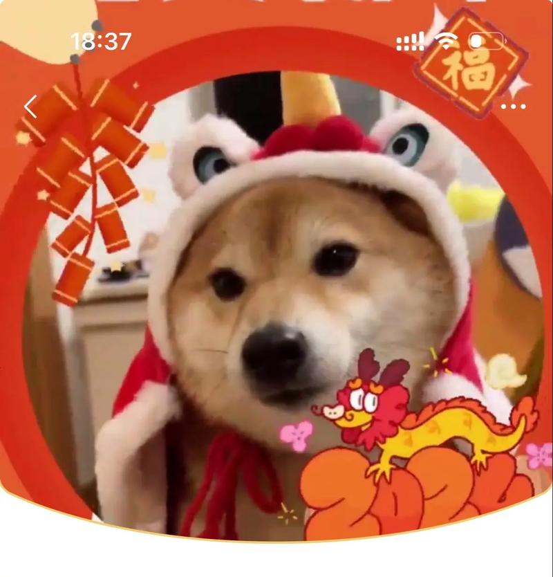 疯狂爱犬红包版