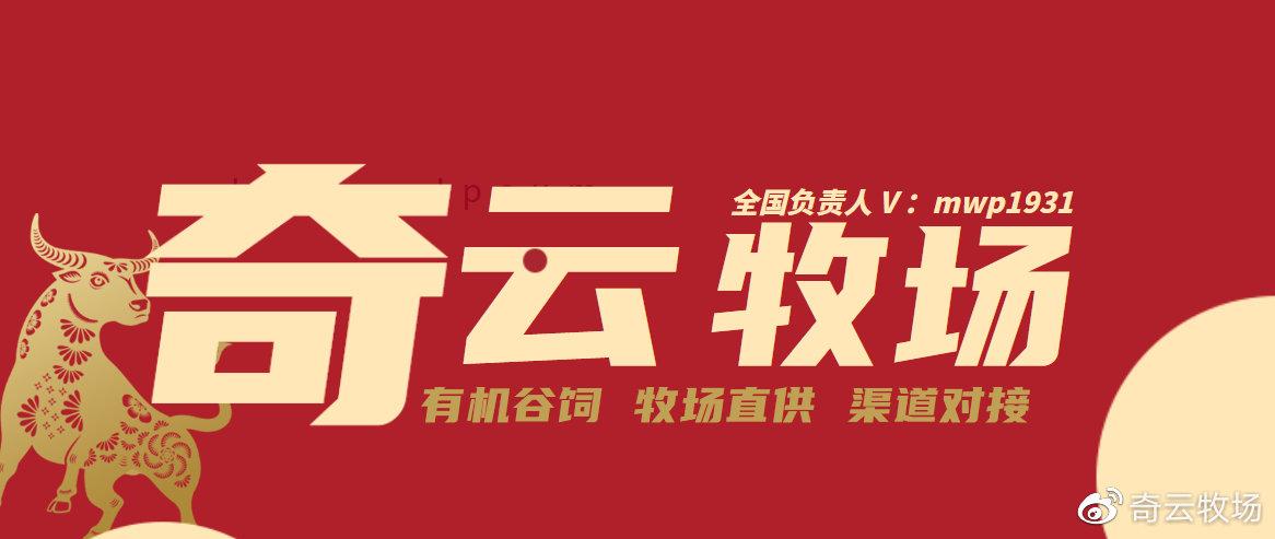 奇云牧场养牛缩略图