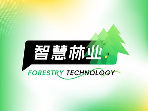 智慧森林