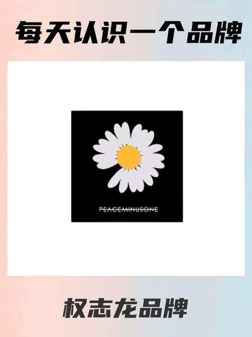 雏菊资讯正版