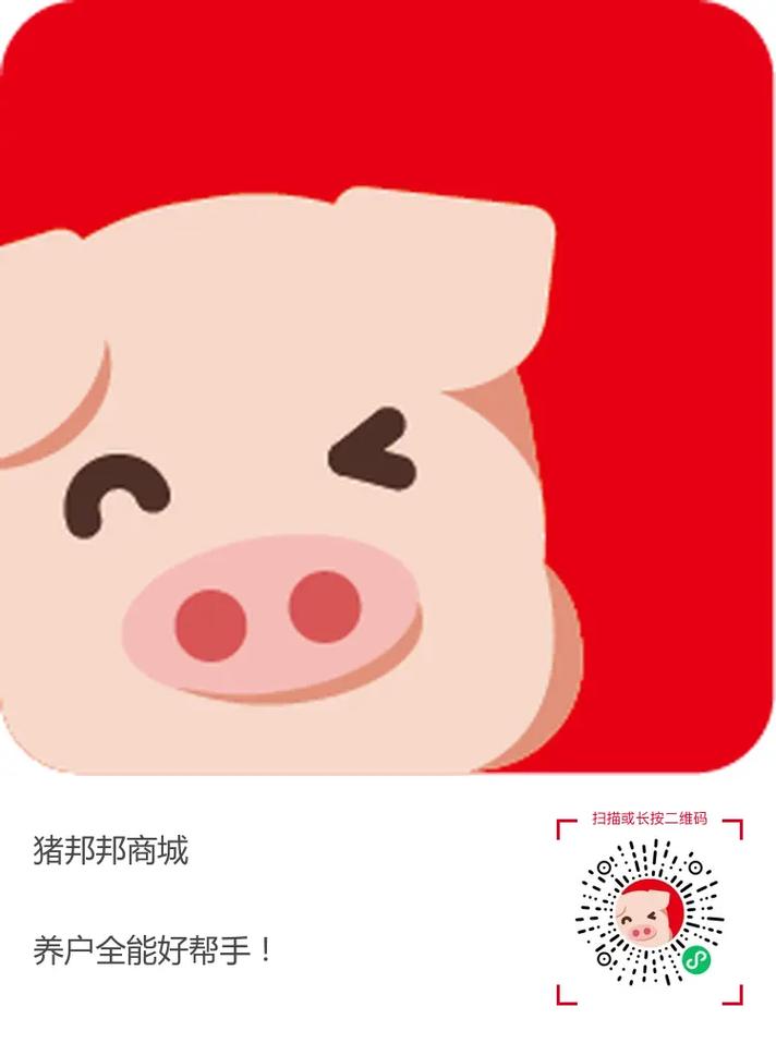 小猪帮帮手机版最截图