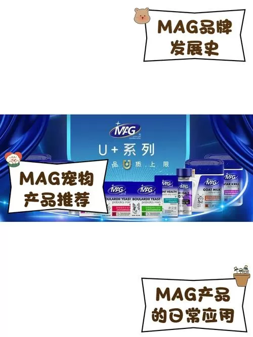 MAGT是哪个牌子截图