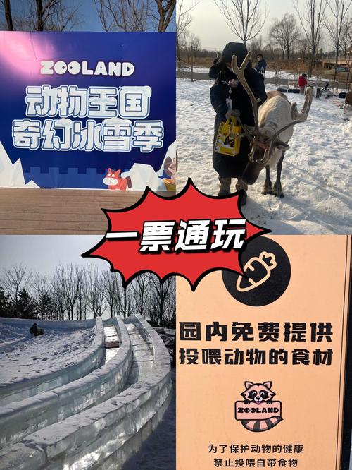 冰雪动物园赢红包图标