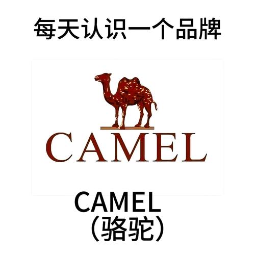 骆驼淘金官网手机