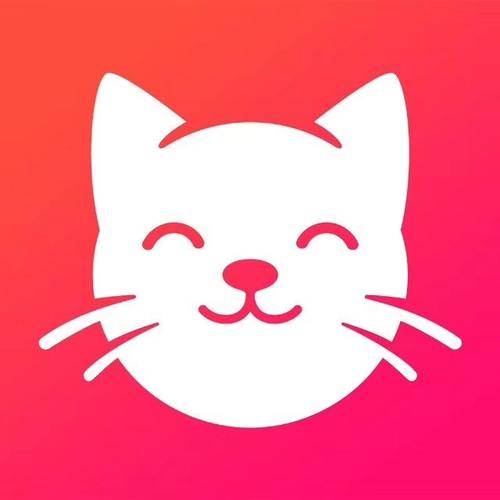 养猫联盟分红版
