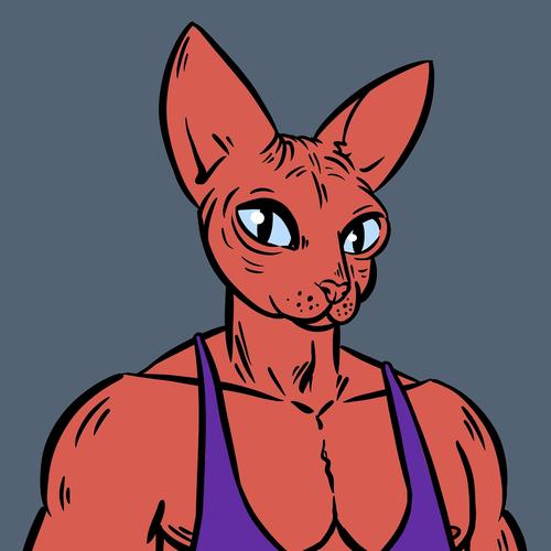 疯狂健身猫红包版v1.9.9