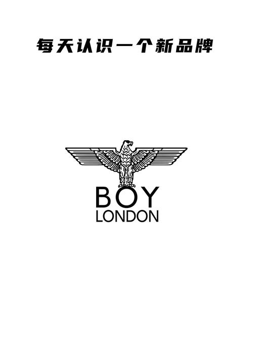 老鹰金服