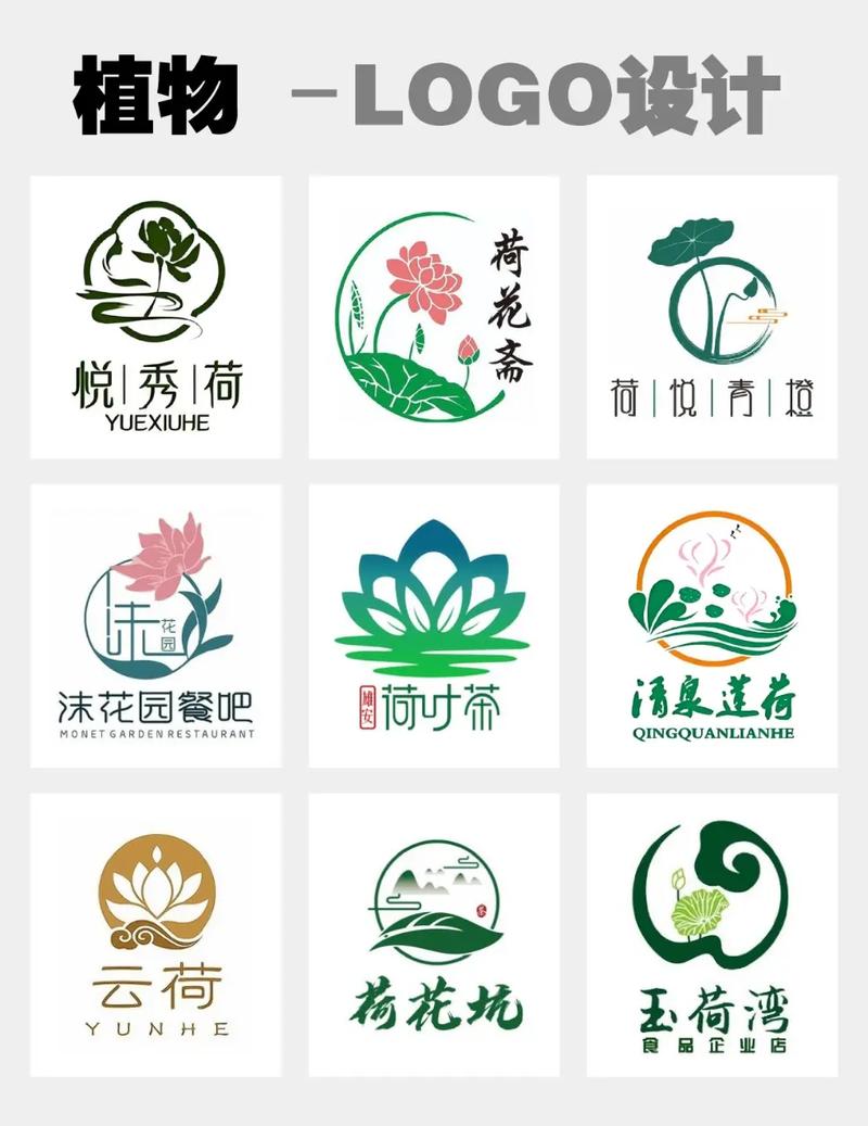 植物超进化无广告