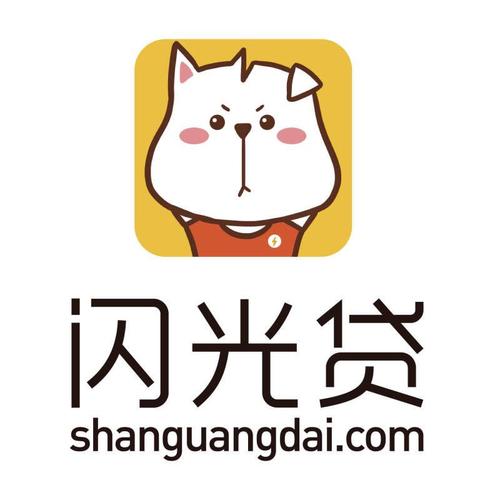 99闪贷图标