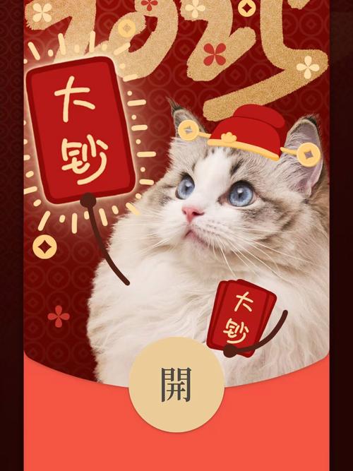猫猫红包挂手机版