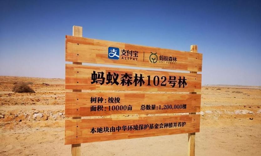 支付宝蚂蚁森林保缩略图