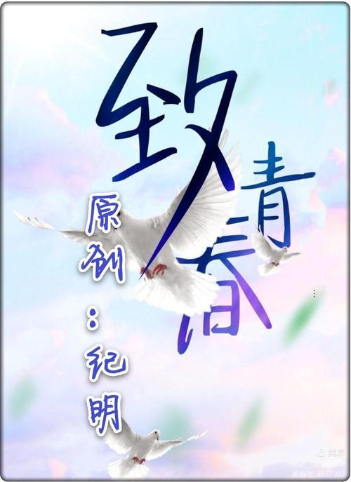 致青春小说完整版