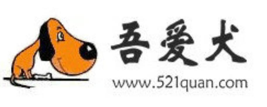 吾爱网截图