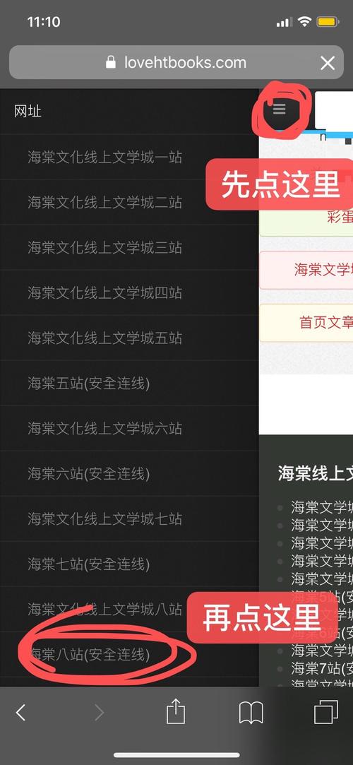 海棠龙马文化网站