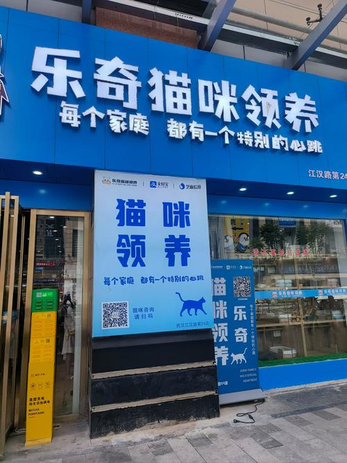 养喵有钱免费领红