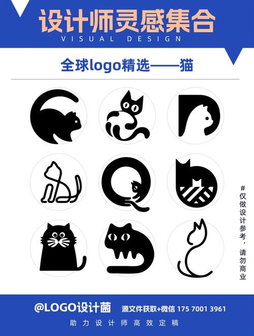 猫猫世界