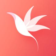 花信一对一聊天最