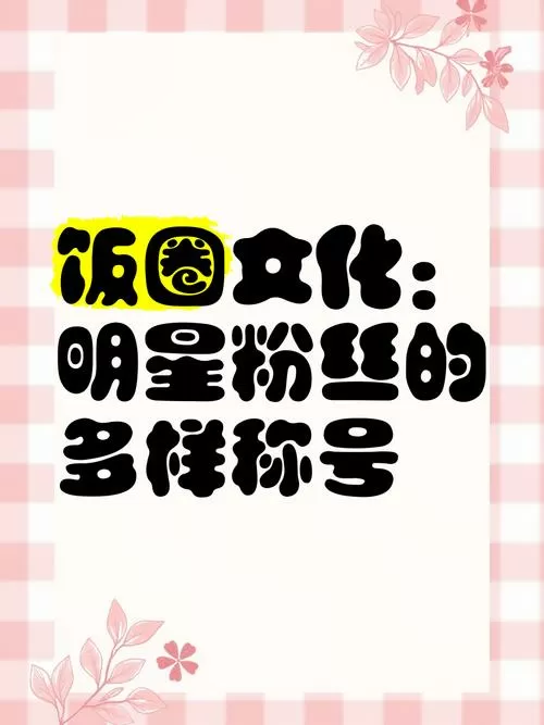 饭圈bot什么网络用语