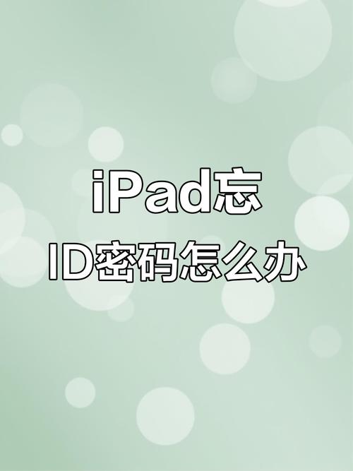ipad激活锁忘记了id和密码截图