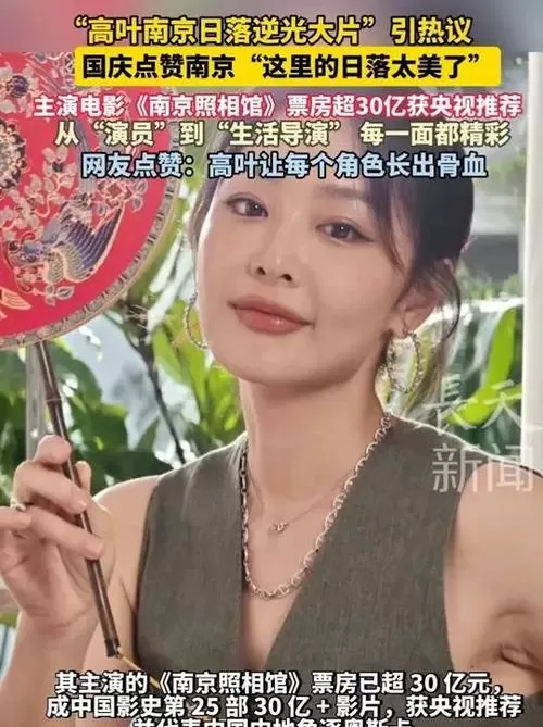 高叶南京日落逆光大片引热议截图