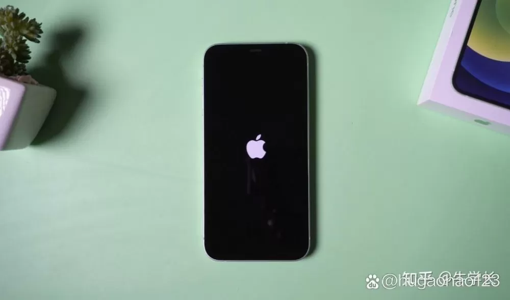 开机出现苹果标志一闪,就黑屏截图