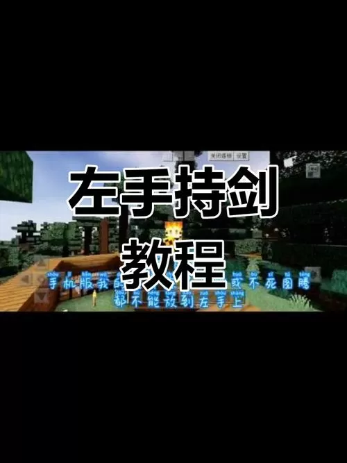 我的世界左手持物怎么用