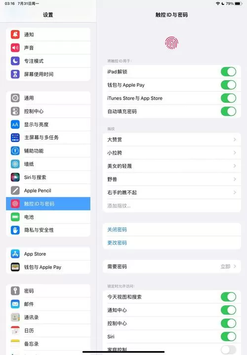 ipad设置应用锁