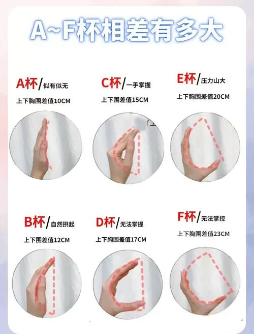 abc罩杯怎么测图标