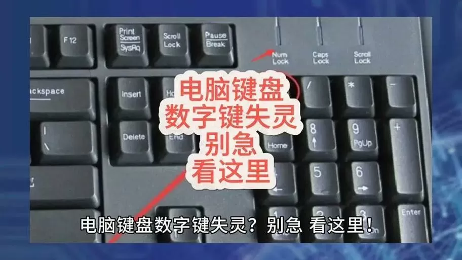 突然间数字键盘不好使了怎么回事