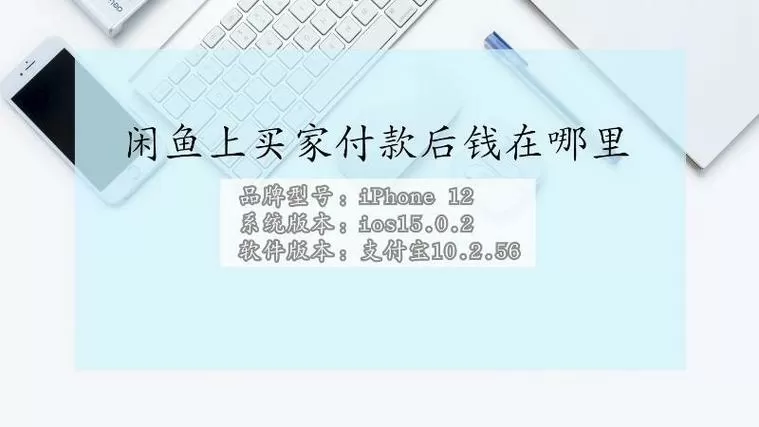 闲鱼买家付款了钱在哪里