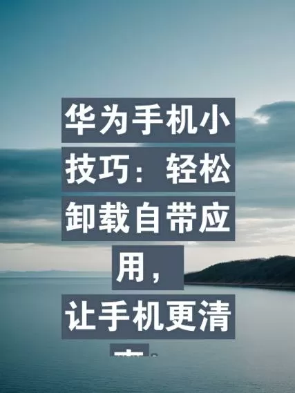 怎么卸载华为自带应用缩略图