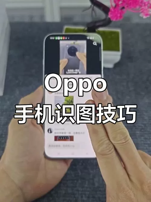 oppo识图功能在哪里