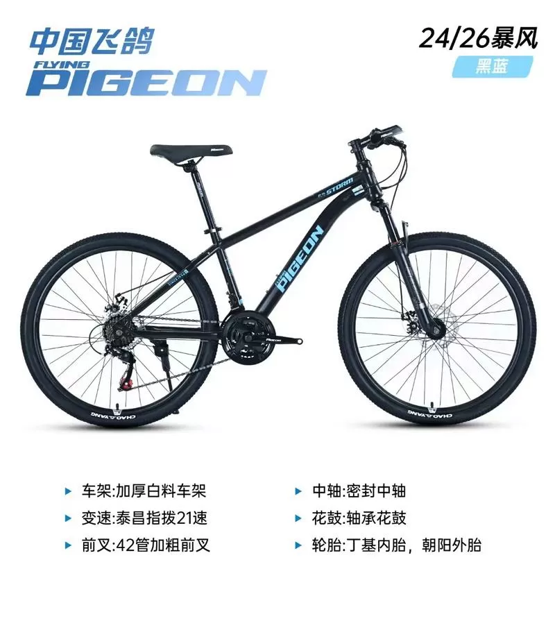 飞鸽所有型号一览表